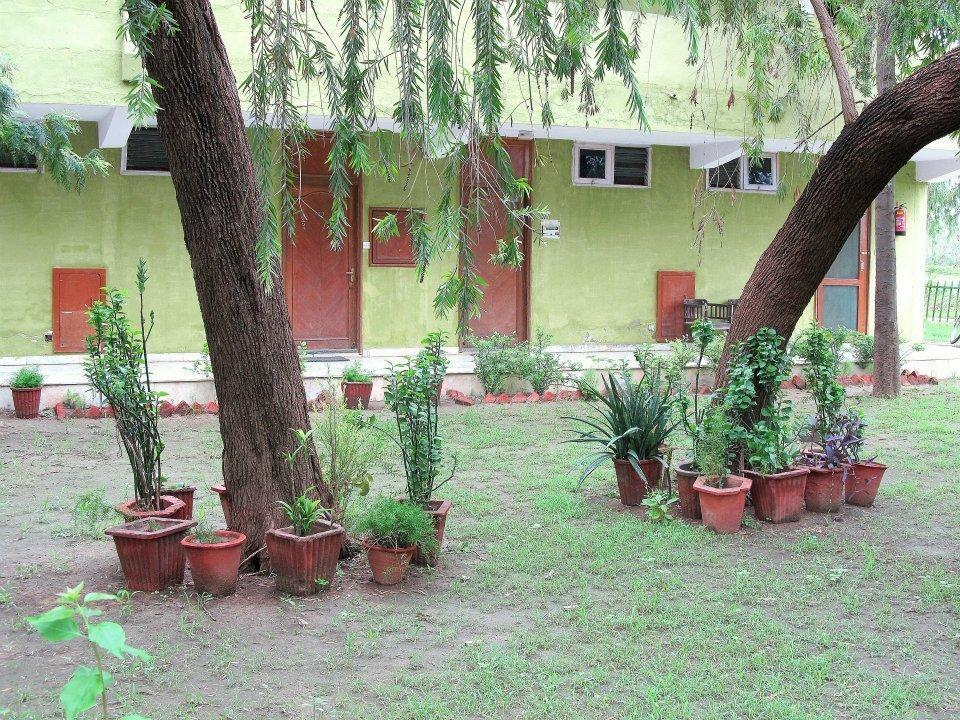 Hotel Bharatpur Ashok Eksteriør billede
