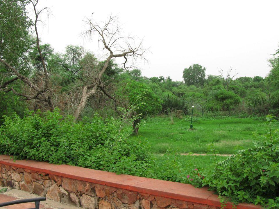 Hotel Bharatpur Ashok Eksteriør billede