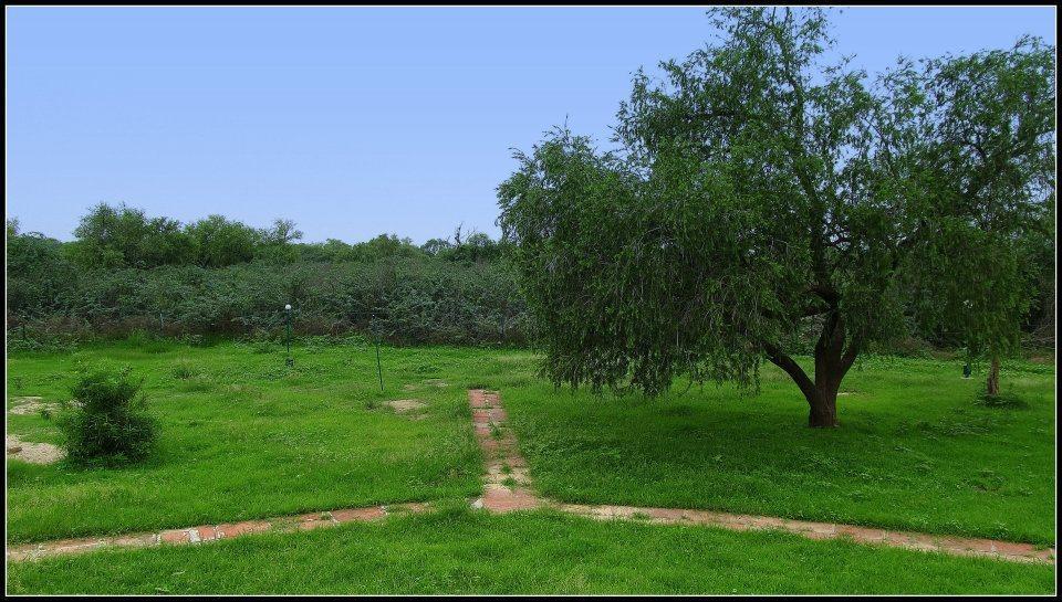 Hotel Bharatpur Ashok Eksteriør billede