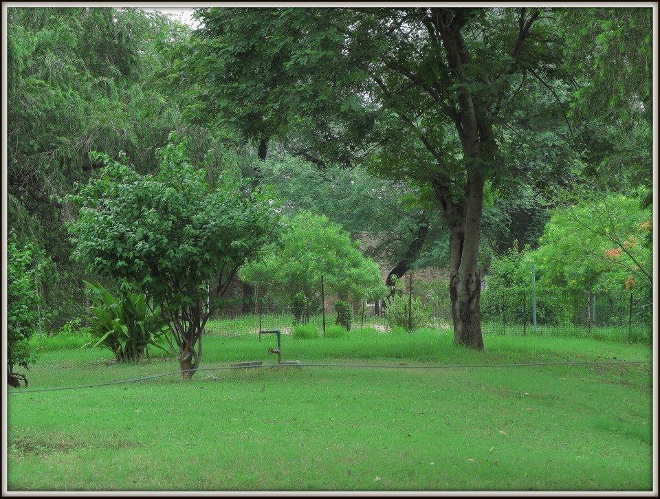 Hotel Bharatpur Ashok Eksteriør billede